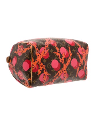 Louis Vuitton LV Monogram Ramages Speedy 30