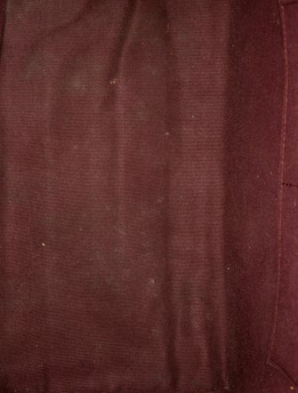 Louis Vuitton LV Monogram Iéna MM