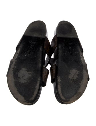Louis Vuitton 2021 LV Monogram Slides