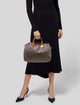 Louis Vuitton LV Monogram Speedy 30