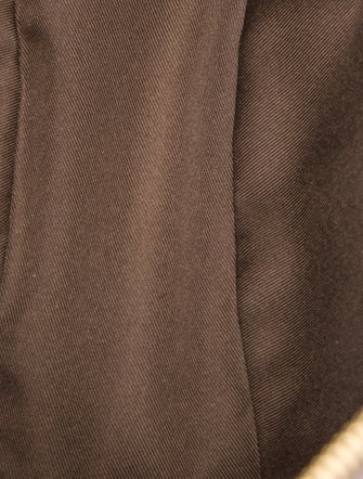 Louis Vuitton LV Monogram Loop Hobo