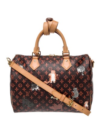 Louis Vuitton Catogram Speedy Bandouliere 30