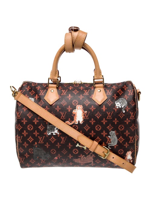 Louis Vuitton Catogram Speedy Bandouliere 30