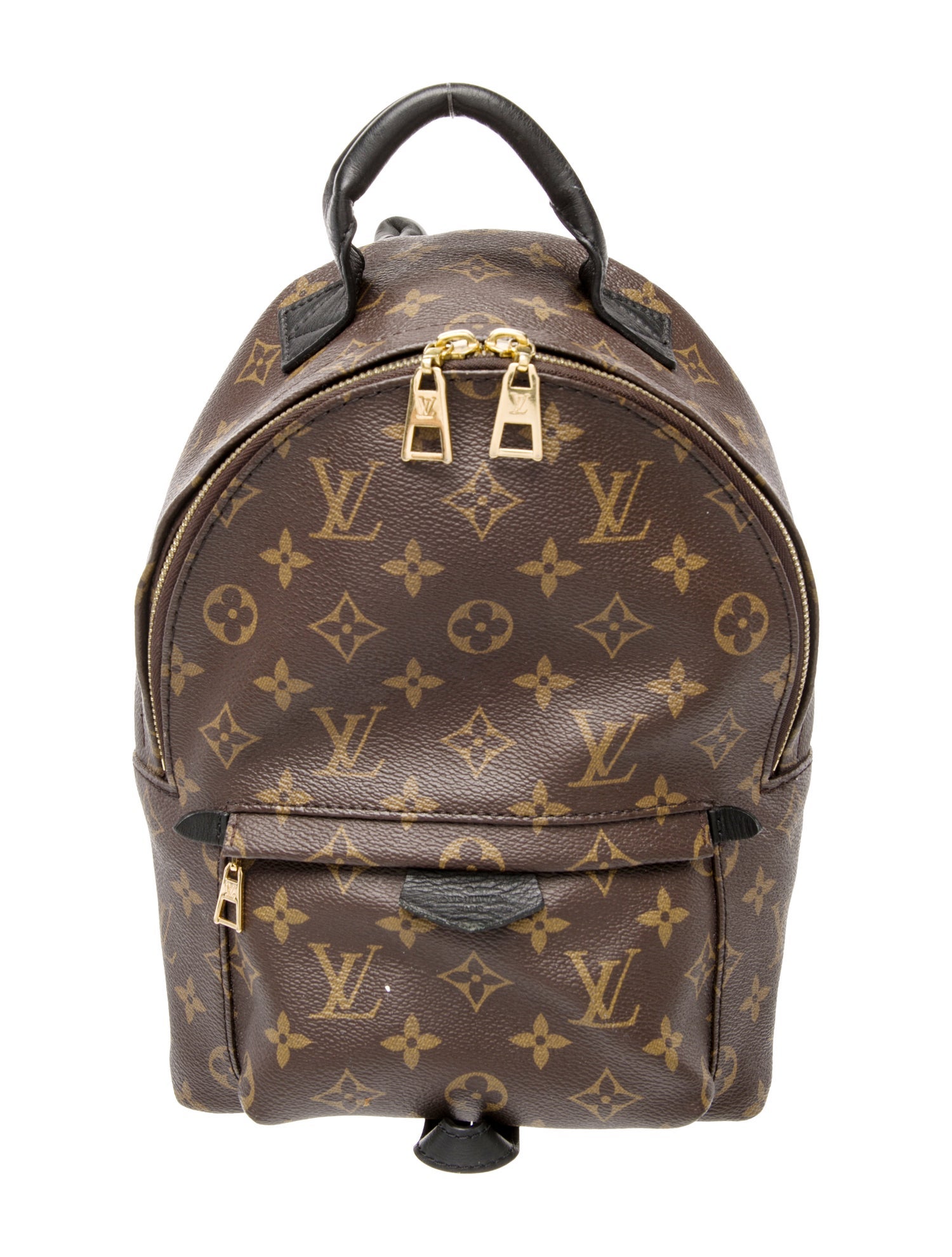 Louis Vuitton LV Monogram Palm Springs PM