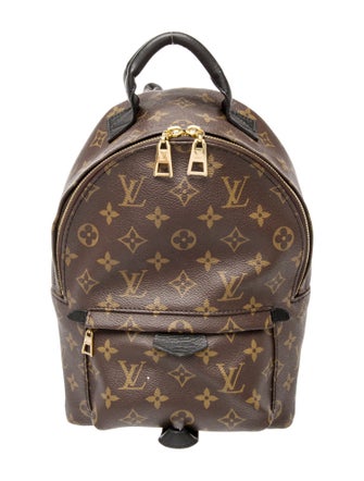 Louis Vuitton LV Monogram Palm Springs PM