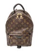 Louis Vuitton LV Monogram Palm Springs PM