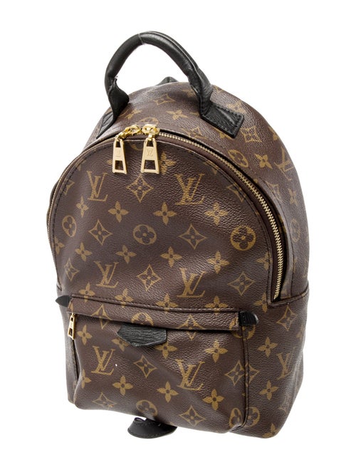 Louis Vuitton LV Monogram Palm Springs PM