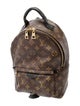 Louis Vuitton LV Monogram Palm Springs PM