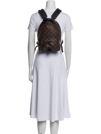 Louis Vuitton LV Monogram Palm Springs PM