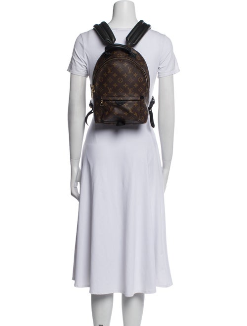 Louis Vuitton LV Monogram Palm Springs PM