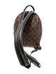 Louis Vuitton LV Monogram Palm Springs PM