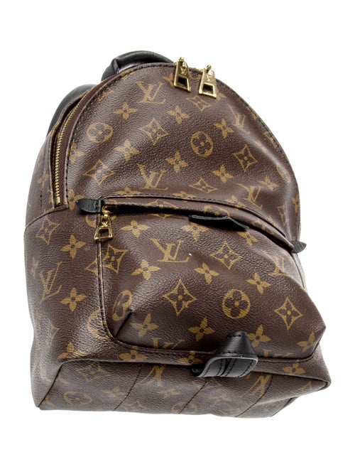 Louis Vuitton LV Monogram Palm Springs PM