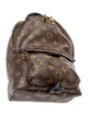 Louis Vuitton LV Monogram Palm Springs PM