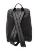 Louis Vuitton Damier Infini Backpack