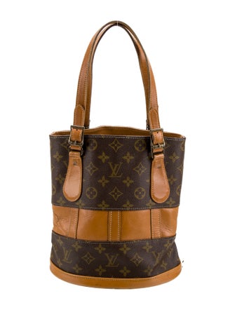 Louis Vuitton LV Monogram Bucket
