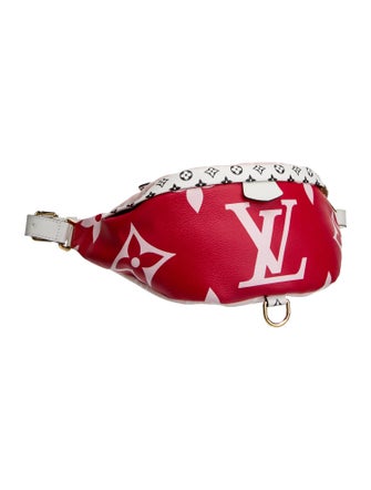 Louis Vuitton Monogram Giant Bumbag