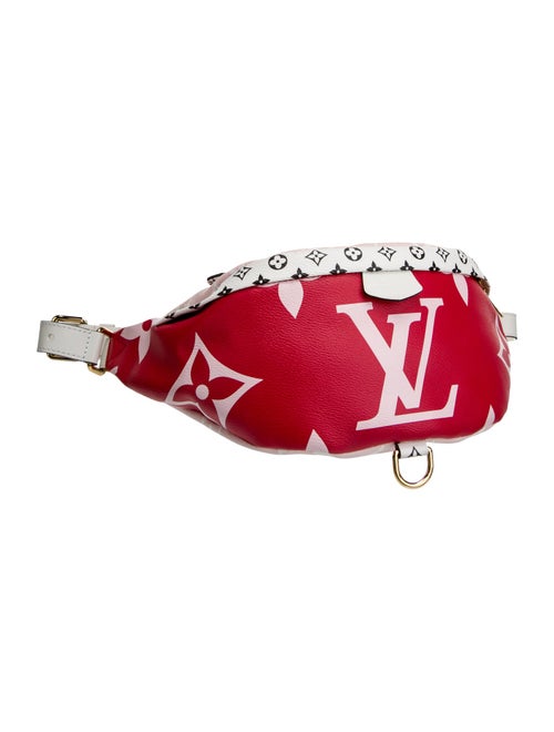 Louis Vuitton Monogram Giant Bumbag