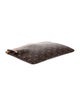 Louis Vuitton LV Monogram Daily Pouch
