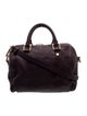 Louis Vuitton LV Monogram Speedy Bandouliere 25