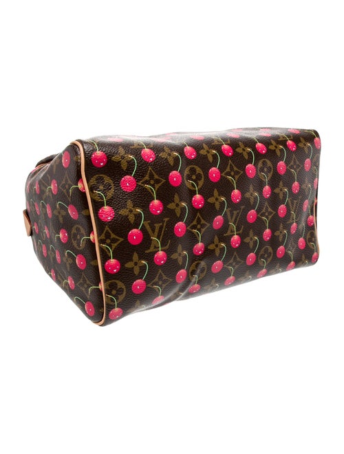 Louis Vuitton Monogram Speedy 25