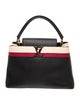 Louis Vuitton Taurillon Leather Capucines GM