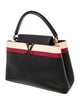 Louis Vuitton Taurillon Leather Capucines GM