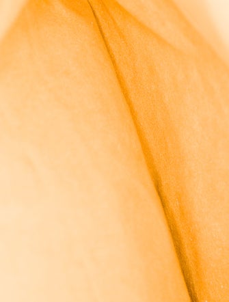 Louis Vuitton LV Monogram Sac Plat