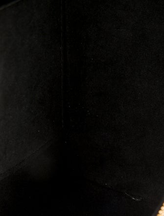 Louis Vuitton LV Monogram Vanity PM