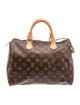 Louis Vuitton LV Monogram Speedy 30