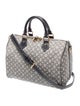Louis Vuitton Monogram Idylle Speedy Bandouliere 30