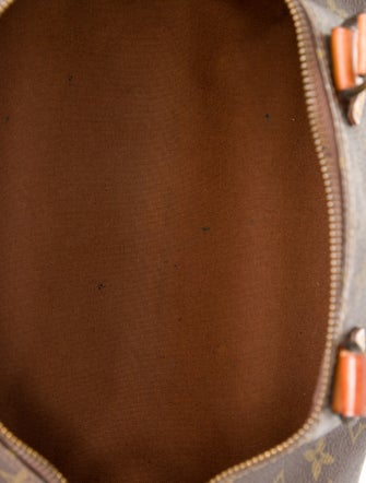 Louis Vuitton LV Monogram Speedy 30