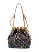 Louis Vuitton Multicolore Monogram Noé Petit