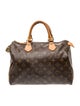 Louis Vuitton LV Monogram Speedy 30