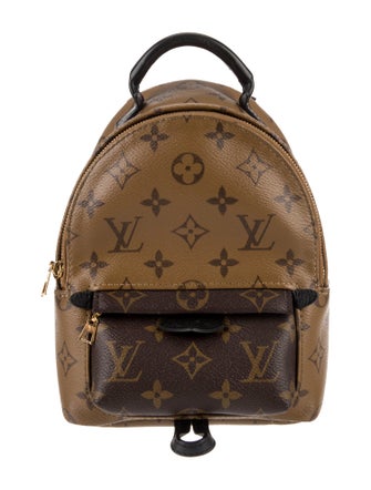Louis Vuitton Monogram Reverse Palm Springs Mini