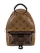 Louis Vuitton Monogram Reverse Palm Springs Mini