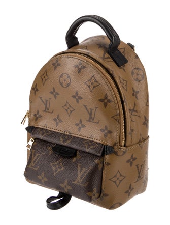 Louis Vuitton Monogram Reverse Palm Springs Mini