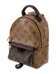 Louis Vuitton Monogram Reverse Palm Springs Mini