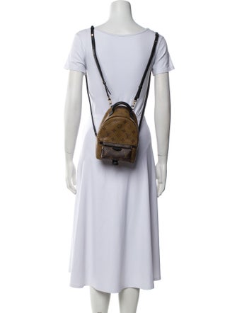 Louis Vuitton Monogram Reverse Palm Springs Mini