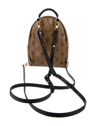 Louis Vuitton Monogram Reverse Palm Springs Mini