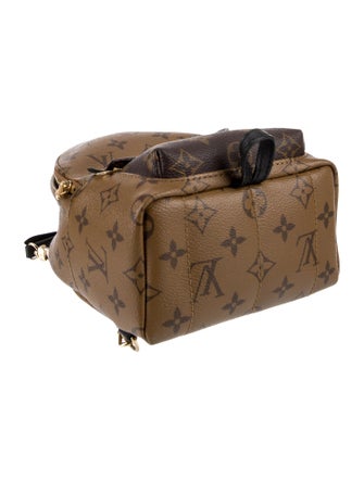 Louis Vuitton Monogram Reverse Palm Springs Mini