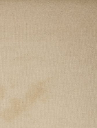 Louis Vuitton Monogram Mini Lin Josephine GM