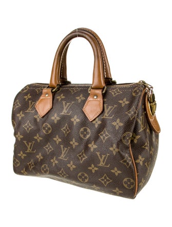 Louis Vuitton LV Monogram Speedy 25