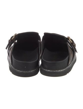 Louis Vuitton LV Monogram Mules