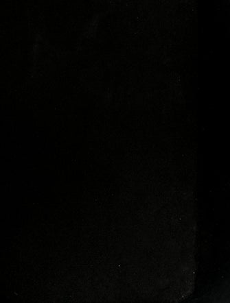 Louis Vuitton Epi Leather Noé Petit