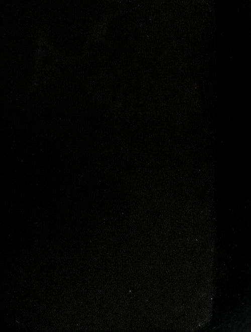 Louis Vuitton Epi Leather Noé Petit