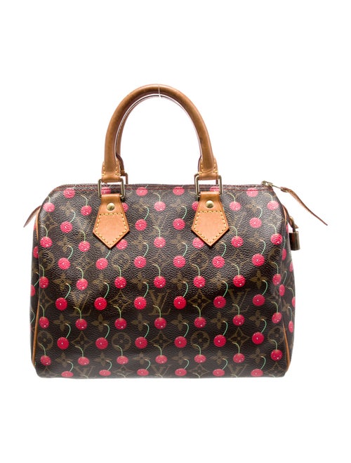 Louis Vuitton LV Monogram Speedy 25