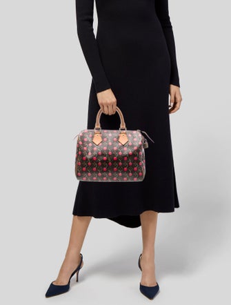 Louis Vuitton LV Monogram Speedy 25