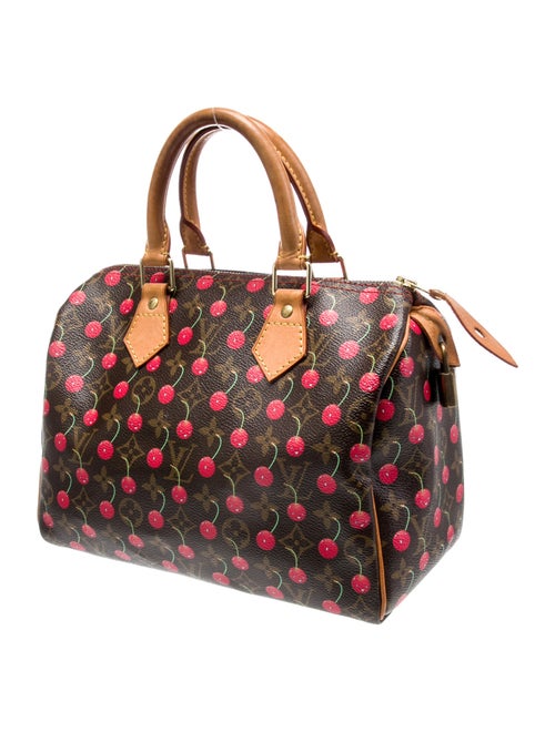 Louis Vuitton LV Monogram Speedy 25