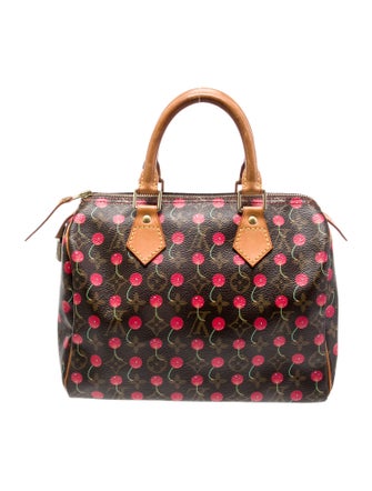 Louis Vuitton LV Monogram Speedy 25