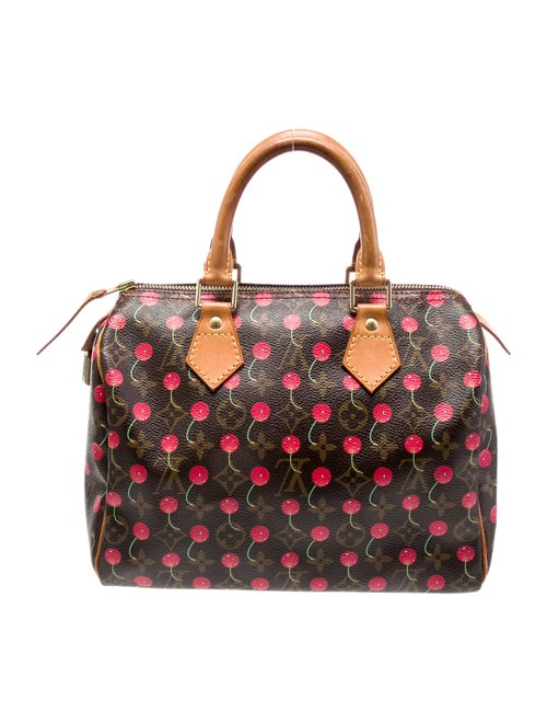 Louis Vuitton LV Monogram Speedy 25